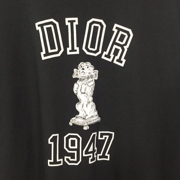 人気No1ディオール リラックスフィット Bobby Tシャツ フェイク dea93045